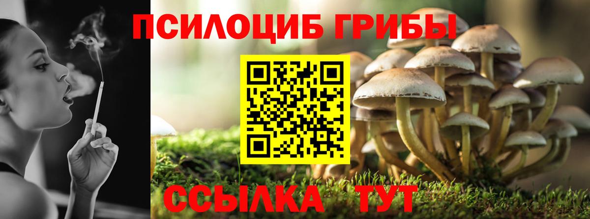 Псилоцибиновые грибы Psilocybine cubensis Оренбург